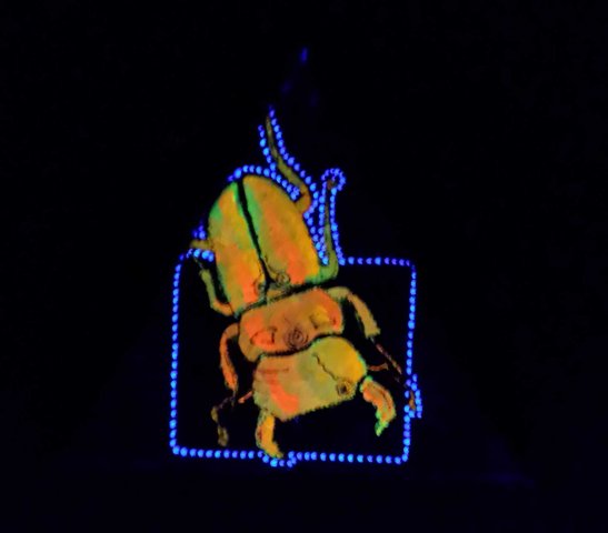 fluo25